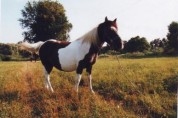 Vlasta Plonková - Ostrava